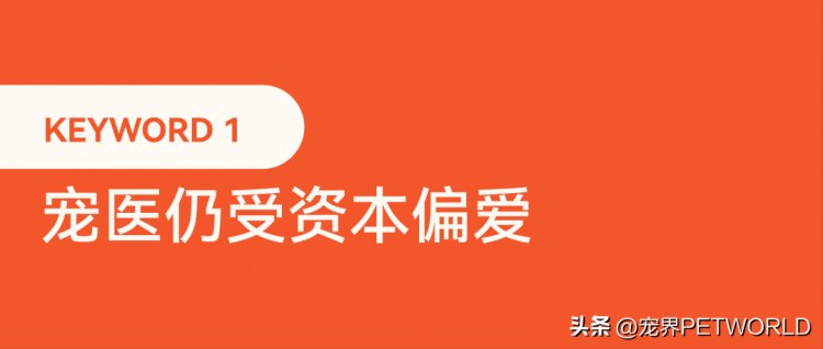 2023国内宠物行业年度关键词必看！